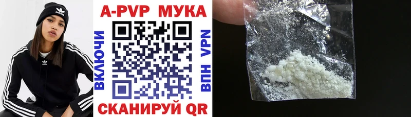 блэк спрут ССЫЛКА Ревда А ПВП СК