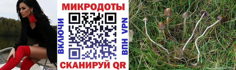 Галлюциногенные грибы мицелий  Ревда 